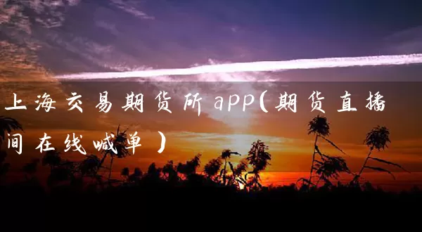 上海交易期货所app（期货直播间在线喊单）_https://www.bdvcvs.com_财经资讯_第1张
